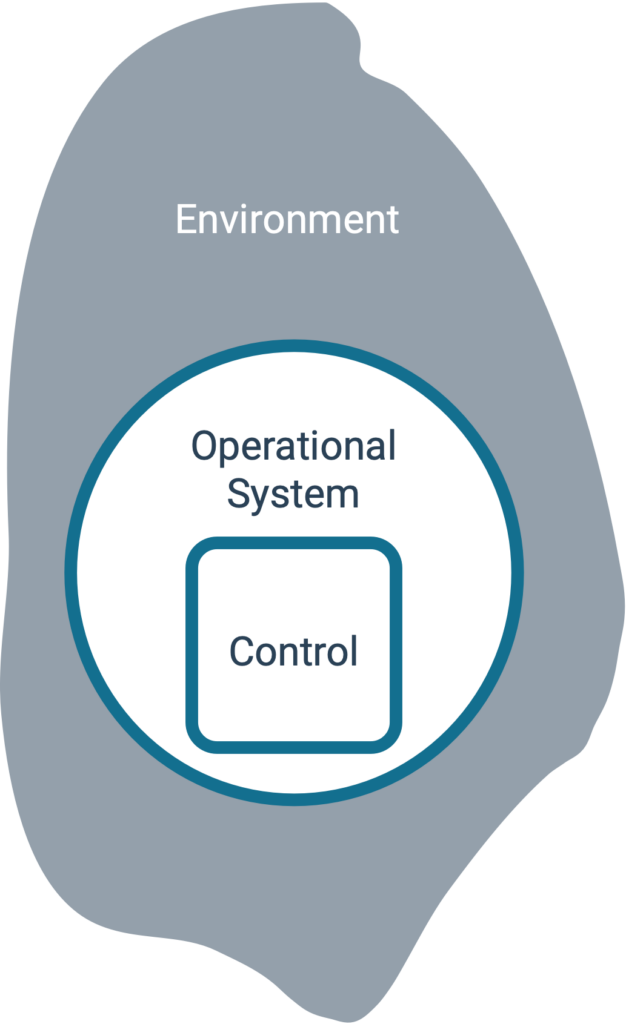 VSM System 1